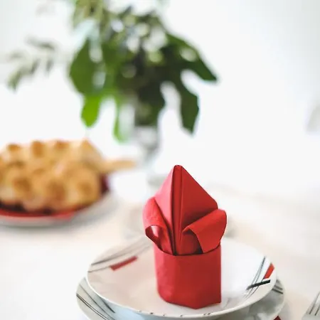 House Center With Garden * Sibenik