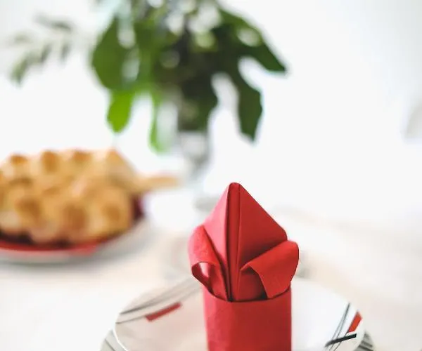 House Center With Garden * Szybenik